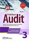 Praktikum Audit: Instruksi Umum, Berkas Permanen, Permasalahan, dan Kertas Kerja Pemeriksaan Tahun Lalu