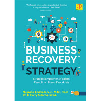 Business Recovery Strategy