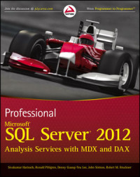 Professional Microsoft SQL Server 2012 : Analysis Services with MDX and DAX