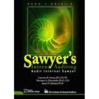 Sawyer's Internal Auditing (Audit Internal Sawyer) buku 1